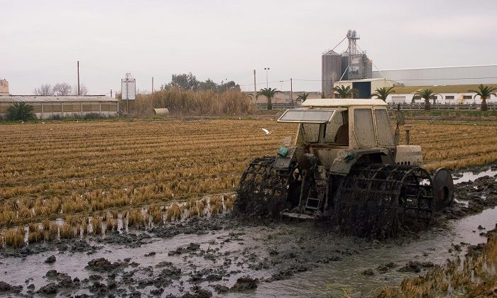 The Most Up-to-Date Agriculture Methods for Flood Zones